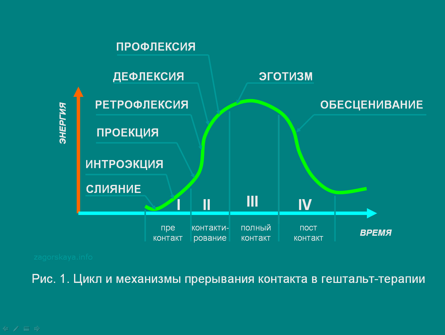 Цикл и механизмы прерывания контакта в гештальт-терапии - Сайт Марии  Загорской