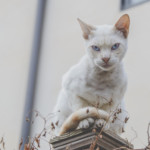 работа со злостью упражнение